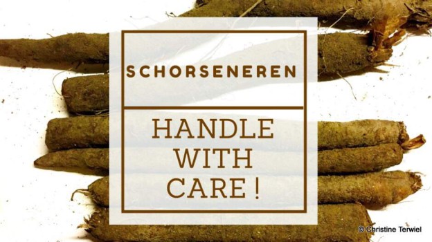 Schorseneren handle with care